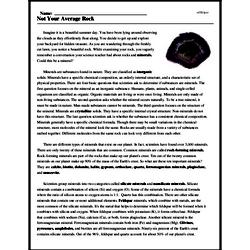 Print <i>Not Your Average Rock</i> reading comprehension.