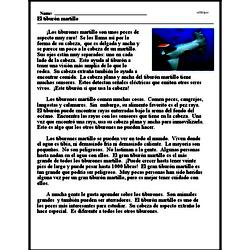 Print <i>El tibur�n martillo-44</i> reading comprehension.