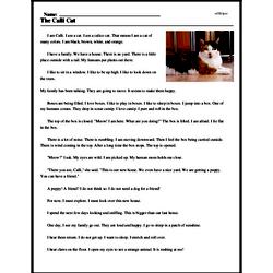 Print <i>The Calli Cat</i> reading comprehension.