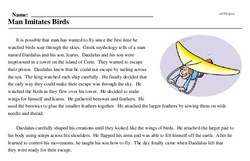 Print <i>Man Imitates Birds</i> reading comprehension.