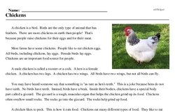Print <i>Chickens</i> reading comprehension.