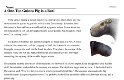 Print <i>A One-Ton Guinea Pig in a Box!</i> reading comprehension.