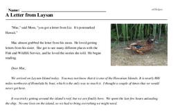 Print <i>A Letter from Laysan</i> reading comprehension.