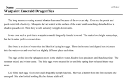 Print <i>Warpaint Emerald Dragonflies</i> reading comprehension.