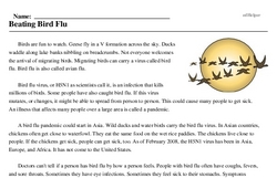 Print <i>Beating Bird Flu</i> reading comprehension.