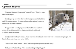 Print <i>Opossum Surprise</i> reading comprehension.