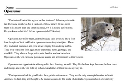 Print <i>Opossums</i> reading comprehension.