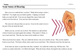 Print <i>Your Sense of Hearing</i> reading comprehension.