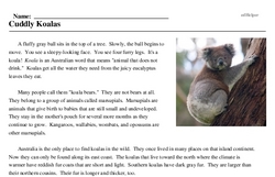 Print <i>Cuddly Koalas</i> reading comprehension.