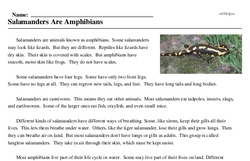 Print <i>Salamanders Are Amphibians</i> reading comprehension.