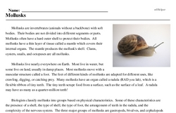 Print <i>Mollusks</i> reading comprehension.