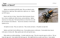 Print <i>Spider or Insect?</i> reading comprehension.