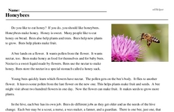 Print <i>Honeybees</i> reading comprehension.