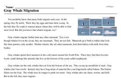 Print <i>Gray Whale Migration</i> reading comprehension.