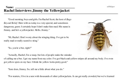 Print <i>Rachel Interviews Jimmy the Yellowjacket</i> reading comprehension.