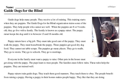 Print <i>Guide Dogs for the Blind</i> reading comprehension.
