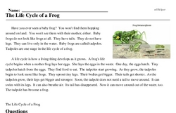 Print <i>The Life Cycle of a Frog</i> reading comprehension.