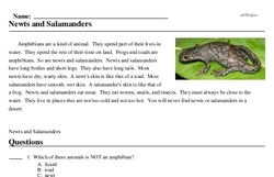 Print <i>Newts and Salamanders</i> reading comprehension.