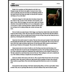 Print <i>Llama Love</i> reading comprehension.