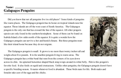 Print <i>Galapagos Penguins</i> reading comprehension.