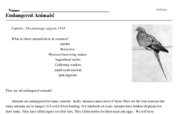 Print <i>Endangered Animals!</i> reading comprehension.