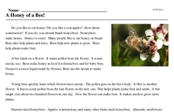 Print <i>A Honey of a Bee!</i> reading comprehension.