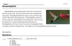 Print <i>Hummingbirds</i> reading comprehension.
