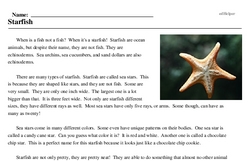 Print <i>Starfish</i> reading comprehension.
