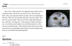 Print <i>Owls</i> reading comprehension.