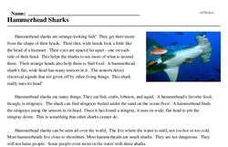 Print <i>Hammerhead Sharks</i> reading comprehension.