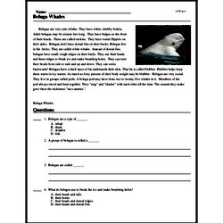 Print <i>Beluga Whales</i> reading comprehension.