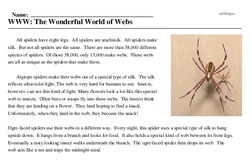 Print <i>WWW: The Wonderful World of Webs</i> reading comprehension.