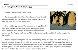 Print <i>Mr. Penguin, Watch that Egg!</i> reading comprehension.