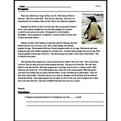 Print <i>Penguins</i> reading comprehension.