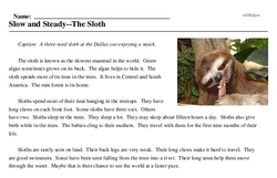 Print <i>Slow and Steady--The Sloth</i> reading comprehension.