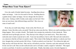 Print <i>What Does Your Nose Know?</i> reading comprehension.