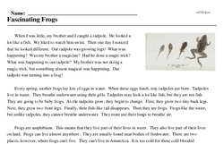 Print <i>Fascinating Frogs</i> reading comprehension.