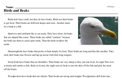 Print <i>Birds and Beaks</i> reading comprehension.