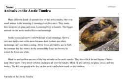 Print <i>Animals on the Arctic Tundra</i> reading comprehension.