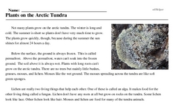 Print <i>Plants on the Arctic Tundra</i> reading comprehension.