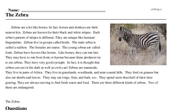 Print <i>The Zebra</i> reading comprehension.
