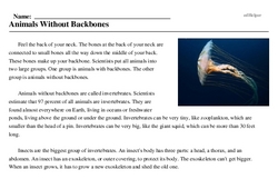 Animals Without Backbones | edHelper