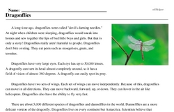 Print <i>Dragonflies</i> reading comprehension.
