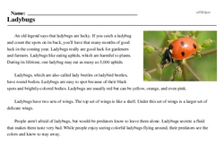 Print <i>Ladybugs</i> reading comprehension.