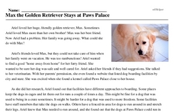 Print <i>Max the Golden Retriever Stays at Paws Palace</i> reading comprehension.