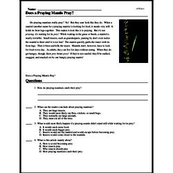 Does a Praying Mantis Pray? - Reading Comprehension Worksheet | edHelper