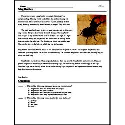 Print <i>Stag Beetles</i> reading comprehension.