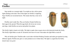 Print <i>Fireflies</i> reading comprehension.