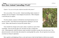 Print <i>How Does Animal Camouflage Work?</i> reading comprehension.