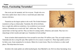 Print <i>Fuzzy, Fascinating Tarantulas!</i> reading comprehension.